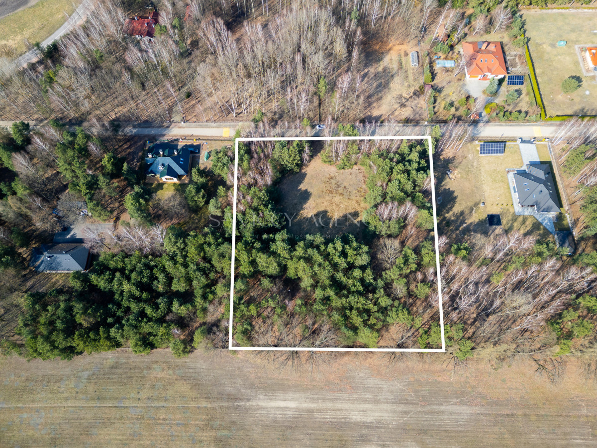 DZIAŁKA PREMIUM 6537 m² | MPZP | LAS | PODZIAŁ