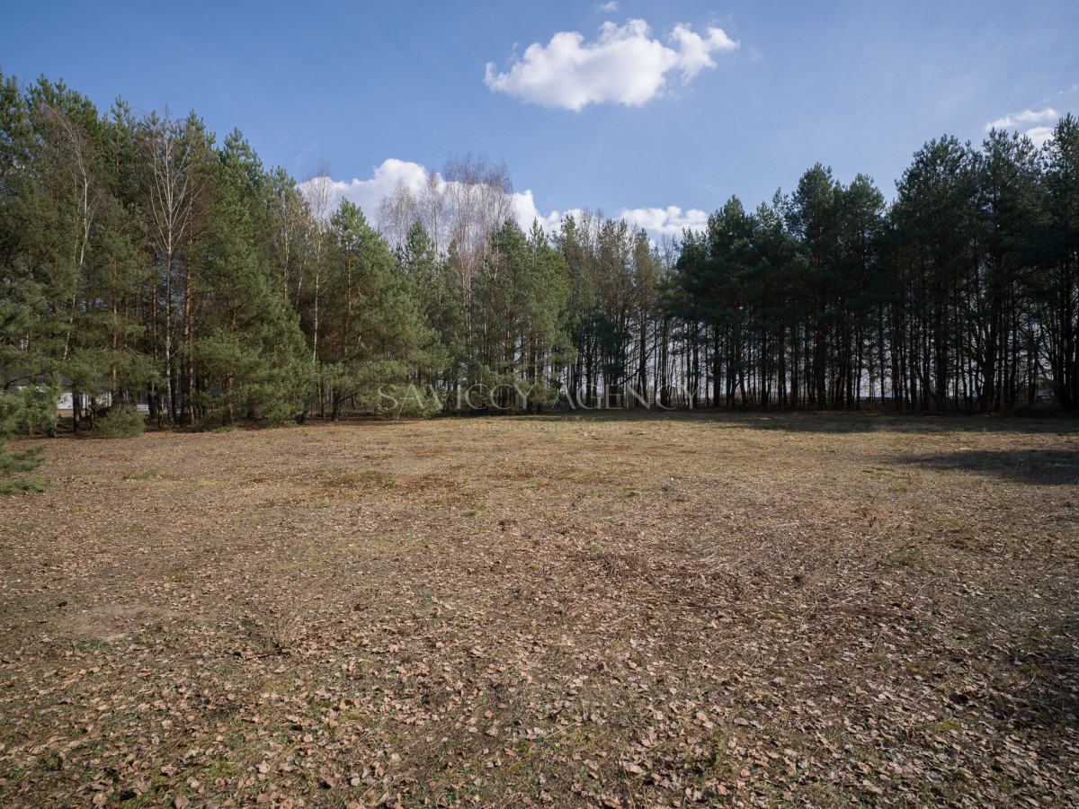 DZIAŁKA PREMIUM 6537 m² | MPZP | LAS | PODZIAŁ